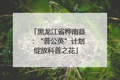 黑龙江省桦南县：“普公英”计划绽放科普之花