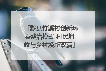 黟县竹溪村创新环境整治模式 村民增收与乡村焕新双赢