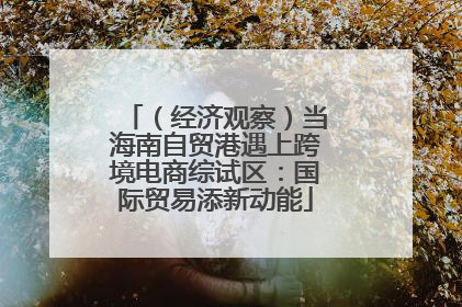 （经济观察）当海南自贸港遇上跨境电商综试区：国际贸易添新动能