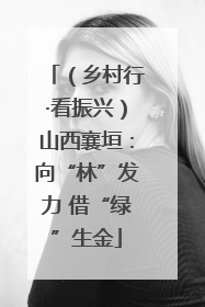 （乡村行·看振兴）山西襄垣：向“林”发力 借“绿”生金