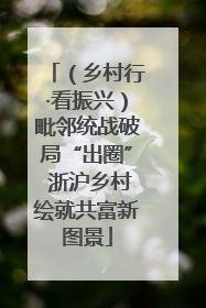 （乡村行·看振兴）毗邻统战破局“出圈” 浙沪乡村绘就共富新图景