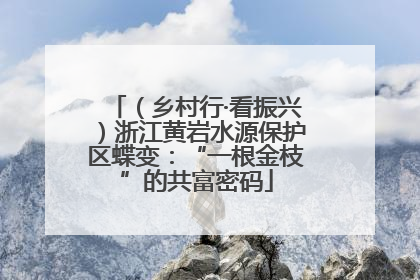 （乡村行·看振兴）浙江黄岩水源保护区蝶变：“一根金枝”的共富密码