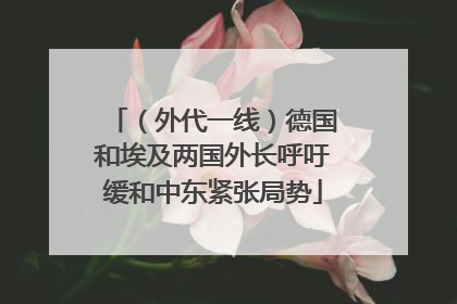（外代一线）德国和埃及两国外长呼吁缓和中东紧张局势