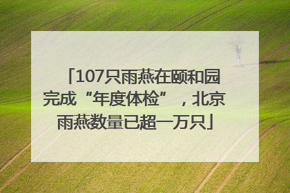 107只雨燕在颐和园完成“年度体检”，北京雨燕数量已超一万只