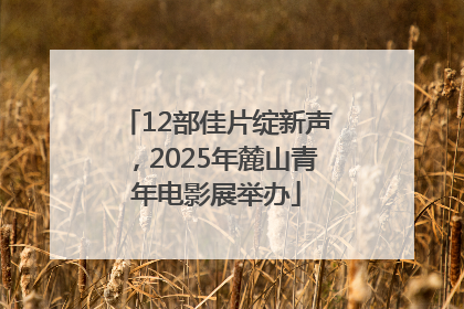 12部佳片绽新声，2025年麓山青年电影展举办