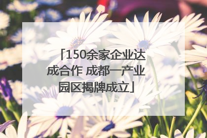 150余家企业达成合作 成都一产业园区揭牌成立
