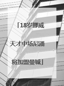 18岁挪威天才中场尼潘将加盟曼城