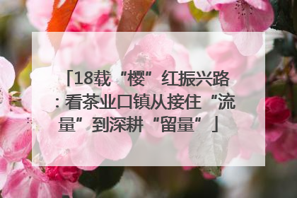 18载“樱”红振兴路：看茶业口镇从接住“流量”到深耕“留量”