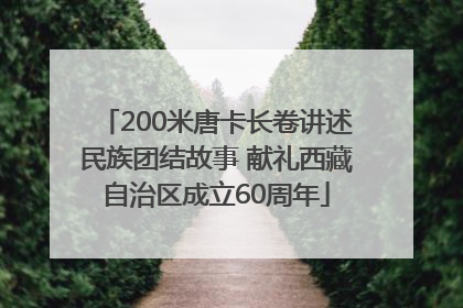 200米唐卡长卷讲述民族团结故事 献礼西藏自治区成立60周年