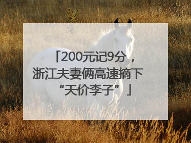200元记9分，浙江夫妻俩高速摘下“天价李子”