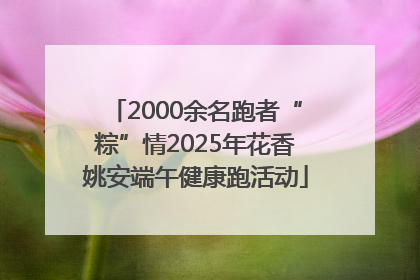 2000余名跑者“粽”情2025年花香姚安端午健康跑活动