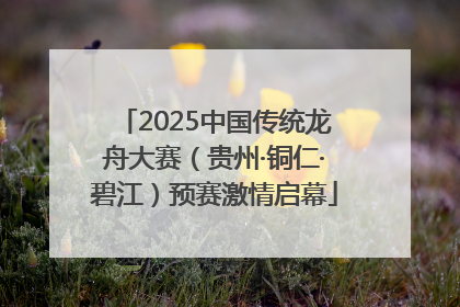 2025中国传统龙舟大赛（贵州·铜仁·碧江）预赛激情启幕
