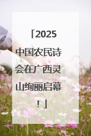 2025中国农民诗会在广西灵山绚丽启幕！