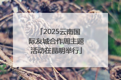 2025云南国际友城合作周主题活动在昆明举行