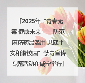 2025年“青春无毒·健康未来——防范麻精药品滥用 共建平安和谐校园”禁毒宣传专题活动在咸宁举行
