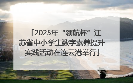 2025年“领航杯”江苏省中小学生数字素养提升实践活动在连云港举行