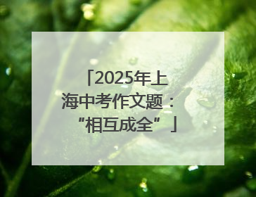 2025年上海中考作文题：“相互成全”