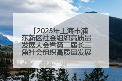 2025年上海市浦东新区社会组织高质量发展大会暨第二届长三角社会组织高质量发展峰会成功举办