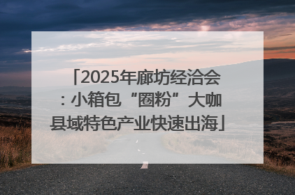 2025年廊坊经洽会：小箱包“圈粉”大咖 县域特色产业快速出海