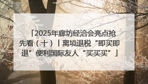 2025年廊坊经洽会亮点抢先看（十）丨离境退税“即买即退”便利国际友人“买买买”
