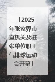 2025年张家界市直机关及驻张单位职工气排球运动会开幕