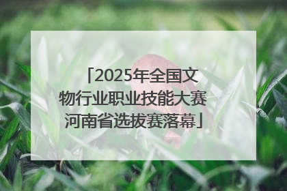 2025年全国文物行业职业技能大赛河南省选拔赛落幕