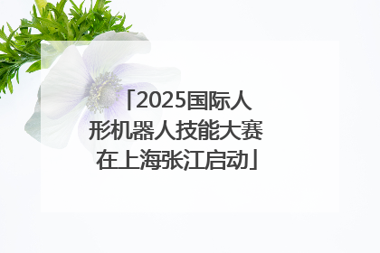 2025国际人形机器人技能大赛在上海张江启动