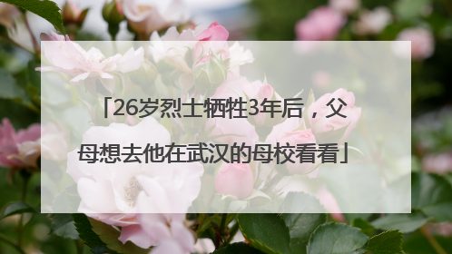26岁烈士牺牲3年后，父母想去他在武汉的母校看看