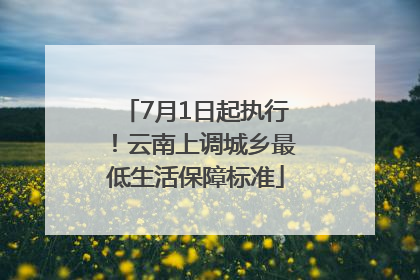 7月1日起执行！云南上调城乡最低生活保障标准