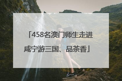 458名澳门师生走进咸宁游三国、品茶香