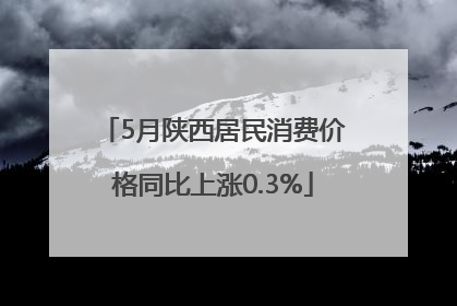 5月陕西居民消费价格同比上涨0.3%