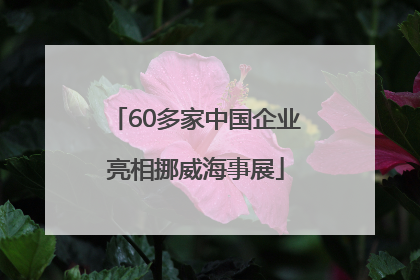 60多家中国企业亮相挪威海事展
