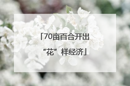 70亩百合开出“花”样经济
