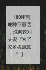 80亩荒地种下童话，珠海这对夫妻“为了家乡我愿意”