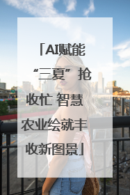 AI赋能“三夏”抢收忙 智慧农业绘就丰收新图景