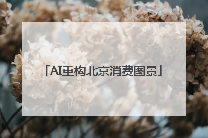 AI重构北京消费图景