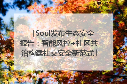 Soul发布生态安全报告：智能风控+社区共治构建社交安全新范式